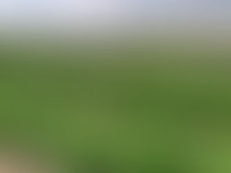 🌼 Samedi 17 septembre 2022🌼