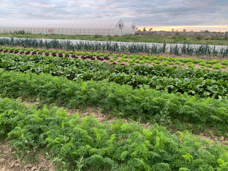 🌼 Samedi 17 septembre 2022🌼