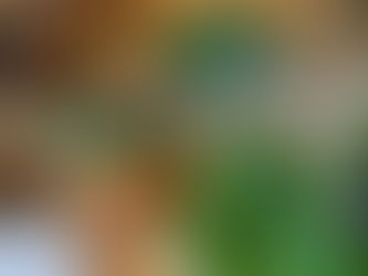 🌼 Jeudi 4 août 2022🌼