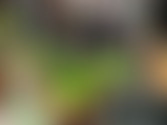 🌼 Samedi 2 septembre 2023🌼