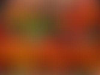 🌼 Jeudi 15 septembre 2022🌼