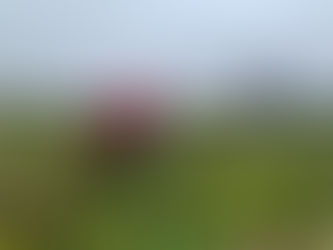 🌻 Semaine du 26 septembre 2022 🌻