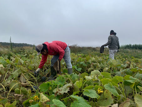 🌻 Semaine du 26 septembre 2022 🌻
