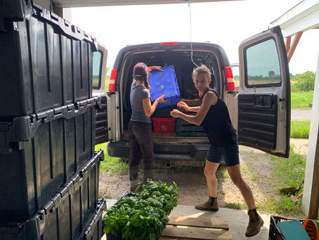 🌻 Semaine du 22 août 2022 🌻