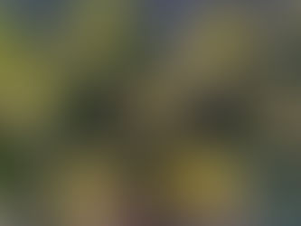 🌻 Semaine du 19 septembre 2022 🌻