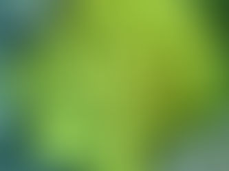 🌻 Semaine du 8 août 2022 🌻