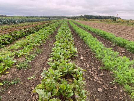 🌼 Samedi 3 septembre 2022🌼