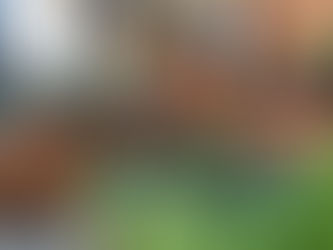 🌼 Samedi 27 août 2022🌼