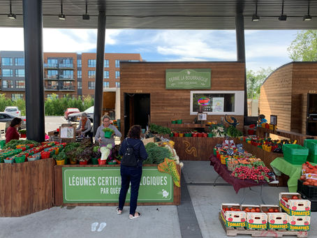 🌼 Samedi 24 septembre 2022🌼