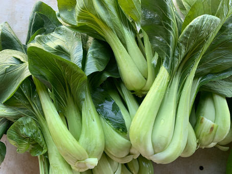 🍂 Semaine du 10 octobre 2022 🍂