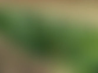 🍂 Semaine du 7 novembre 2022 🍂