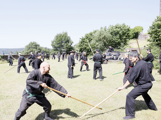 Training auf der großen Wiese der Burg Schwarzenfels