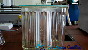 Cromatografia em Camada Delgada