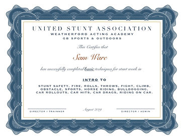 SAM WARE certificate1.jpg