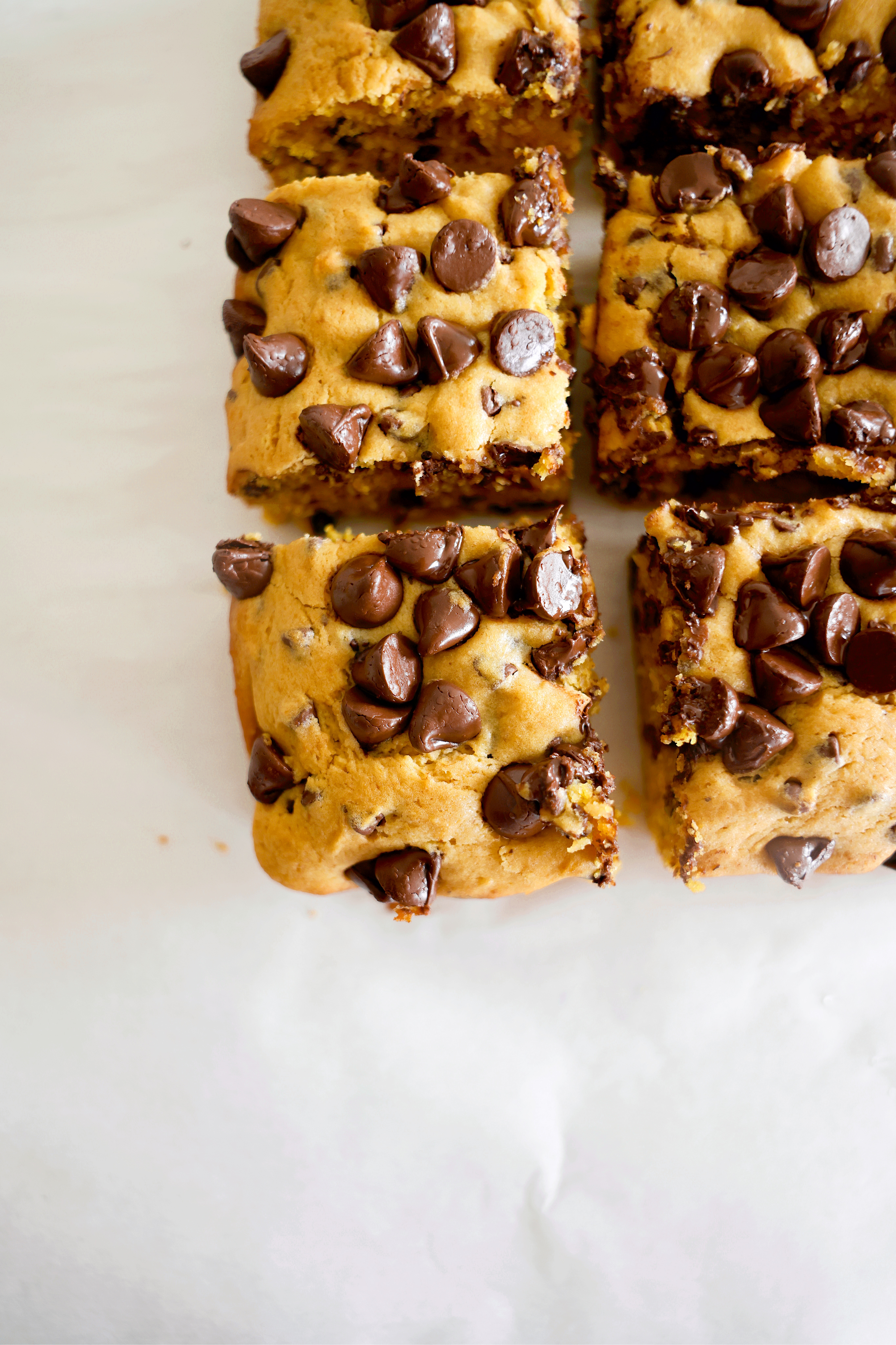 Chocolate Chip Pumpkin Blondies