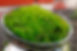 _MG_8147 - Kopia.jpg
