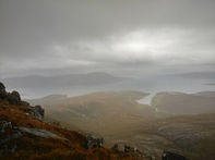 Harris