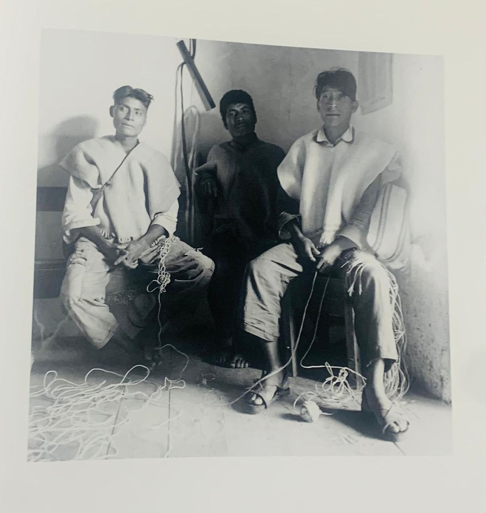 Miniatura: T.D. MEXICO INDIO  TESTIMONIO EN BLANCO Y NEGRO  de ELENA PONIATOWSKA