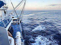 Fishing boat fishing for tuna fish in the Indian Ocean. Fishing operation.jpg