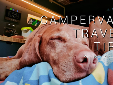 Dog sleeping on a colorful bed in a campervan. Text: Campervan Travel Tips. Cozy and serene mood. Kettle and items in background.