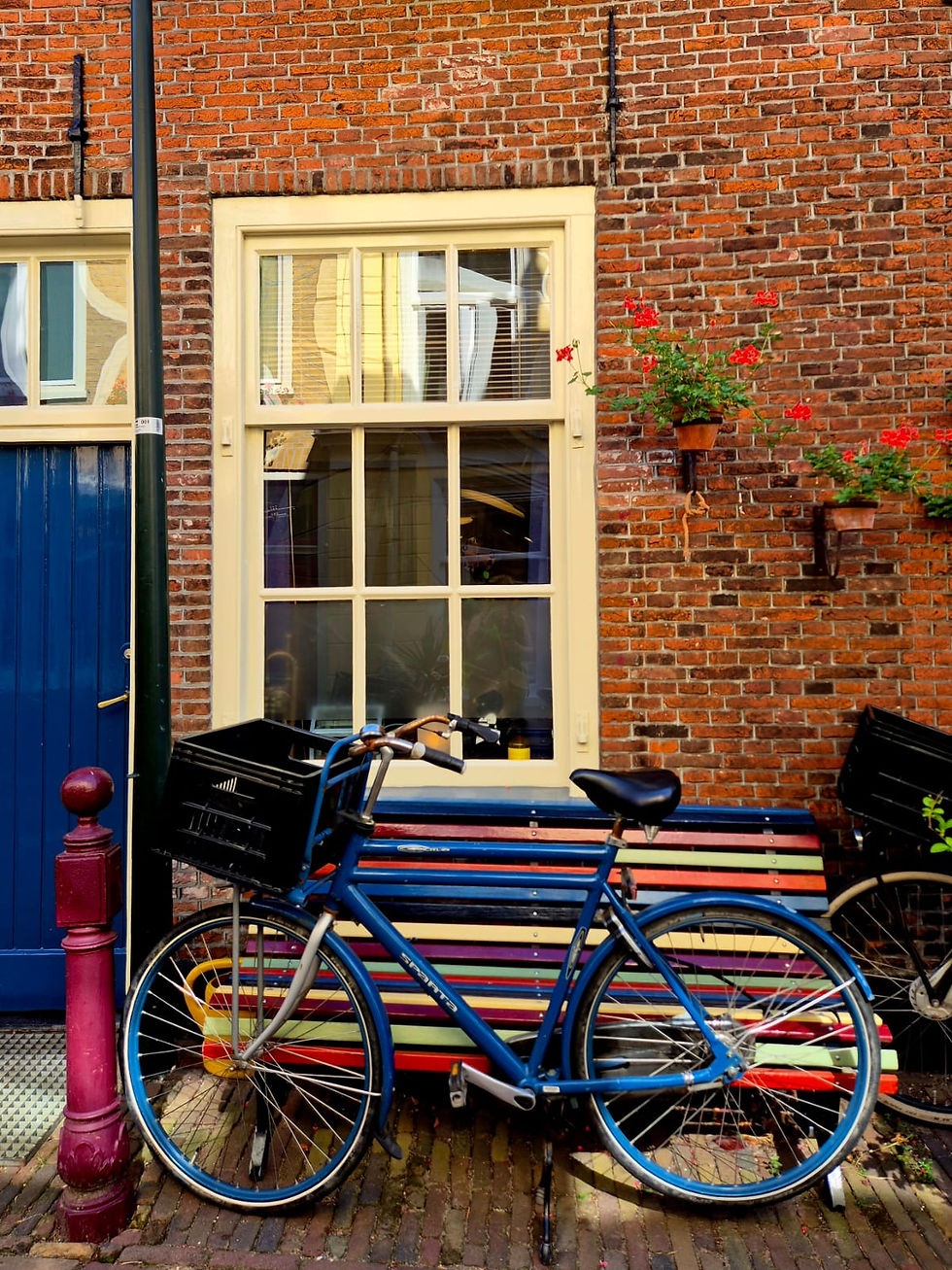 Blue bicycle parked beside a rainbow bench against a brick wall with cream windows, red flowers, and a blue door.