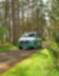 Greena and white VW campervan in a sunny woodland scene