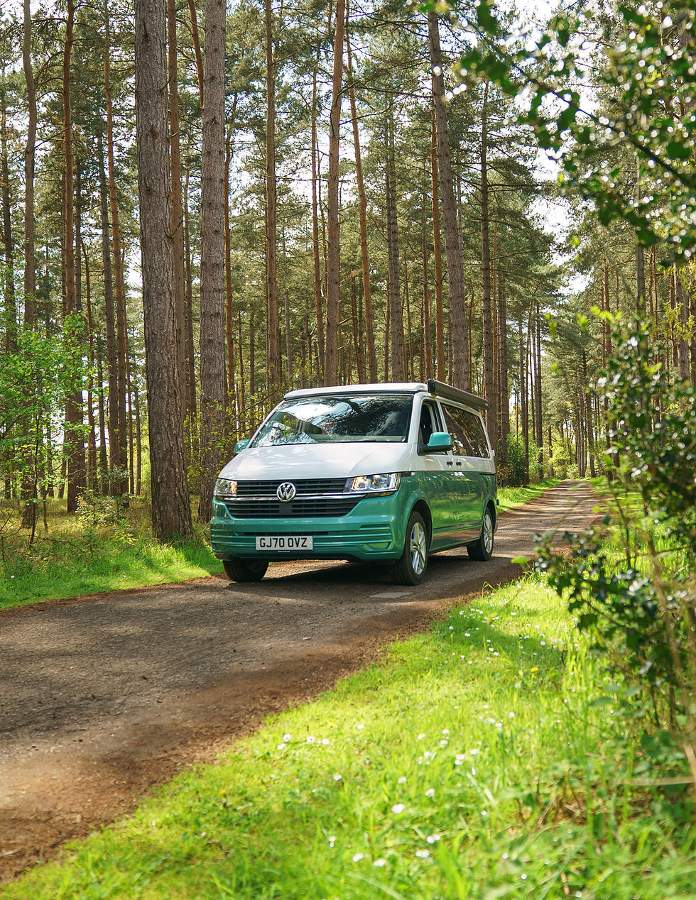 Green and white VW campervan driving through a sunny forest