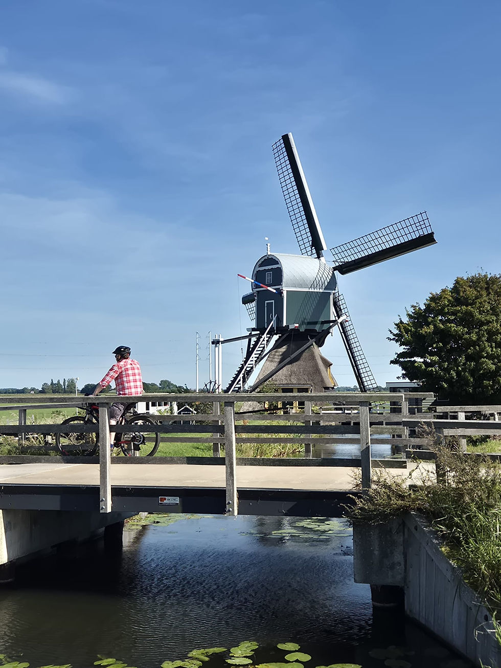 Cyclist rides across a bridge beside a traditional windmill under a clear blue sky, with calm rural canals and fields.