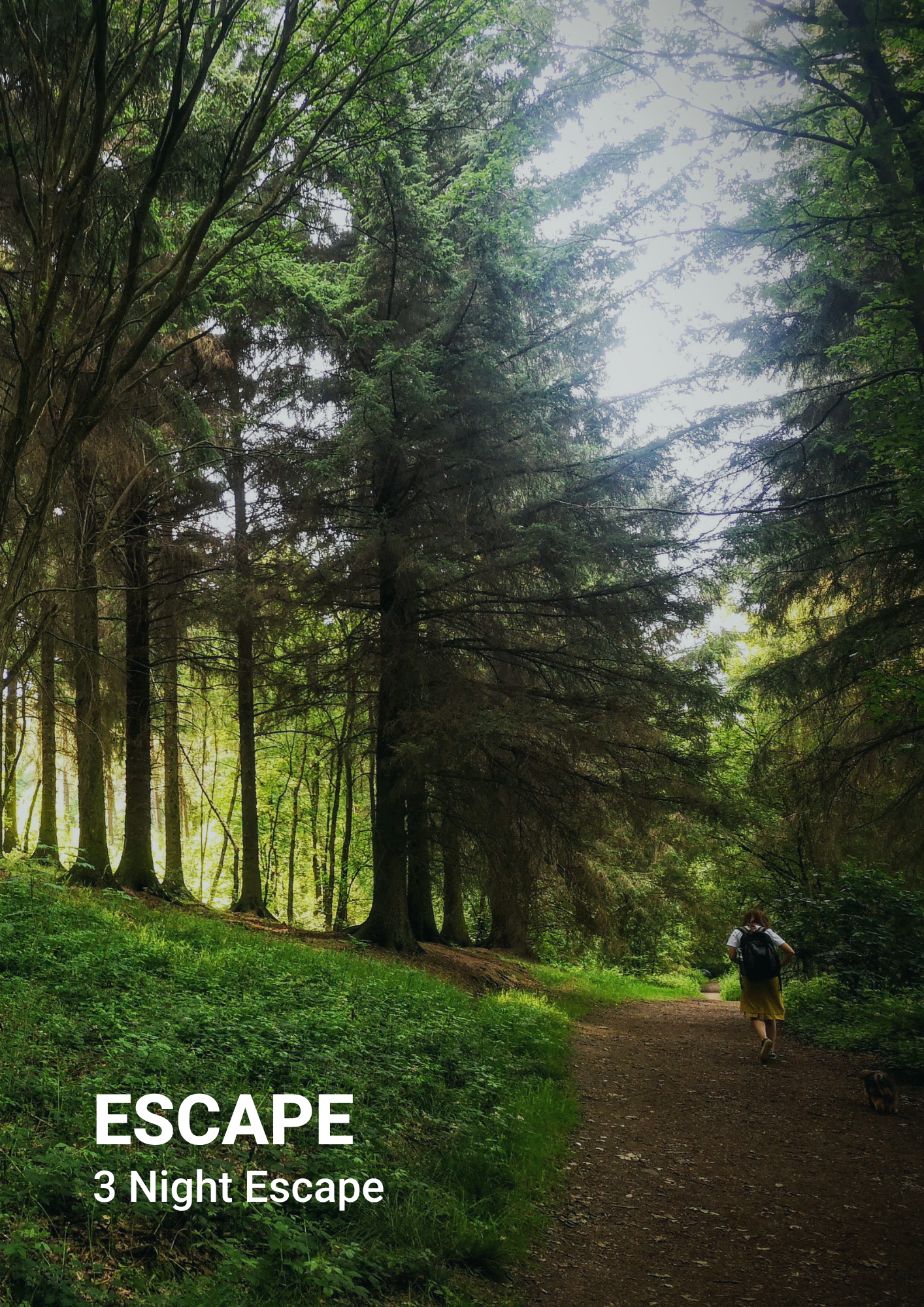 The Gift Of Freedom | Escape Package