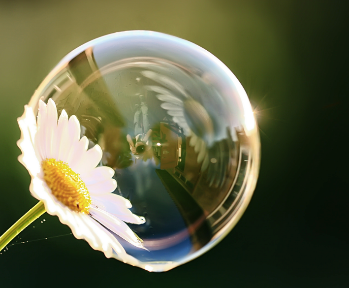L'école Initiatique d'élévation de Conscience Québec