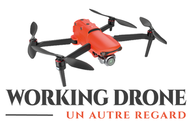 WORKINGDRONE-logo-FINAL-siteweb.png