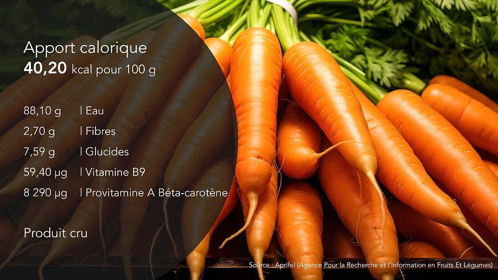 Pourquoi les carottes sont-elles bonnes pour vos chevaux ?