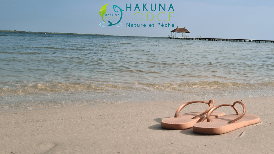 Hakuna Lodge Sénégal