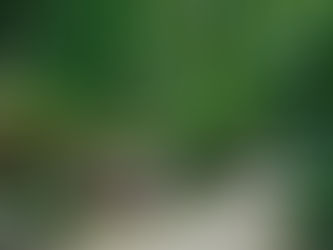 Quel est l’un des secrets pour vendre votre bien immobilier à son meilleur prix ? INVESTIR