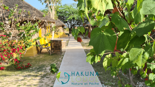 Hakuna Lodge Sénégal