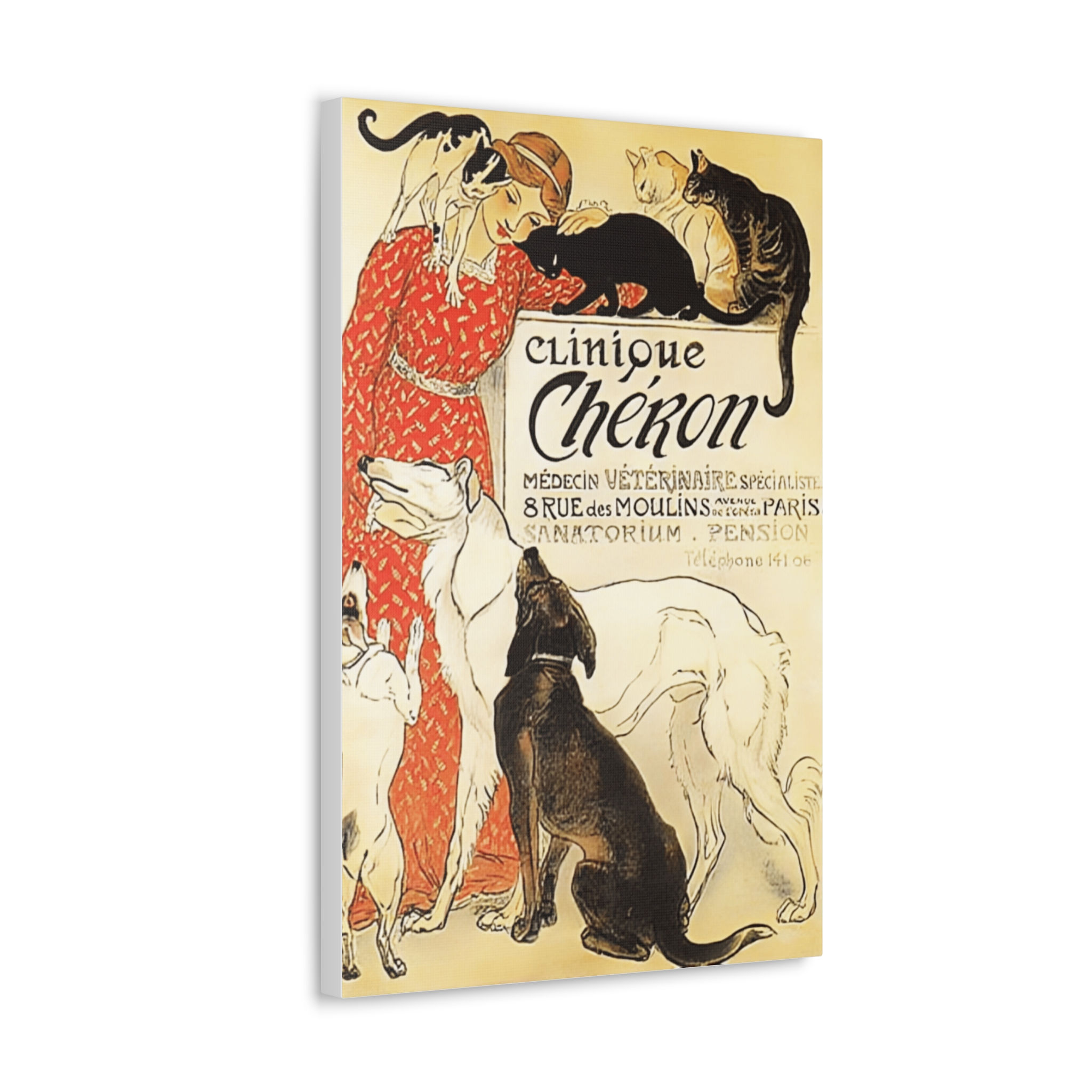 Vintage Art Canvas French Vet Ad Paris Veterinarian Advertisement Dogs and Cats