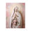 Thumbnail: Shabby Praying Virgin Mary Canvas Art Pink Roses French Print Religious Decor