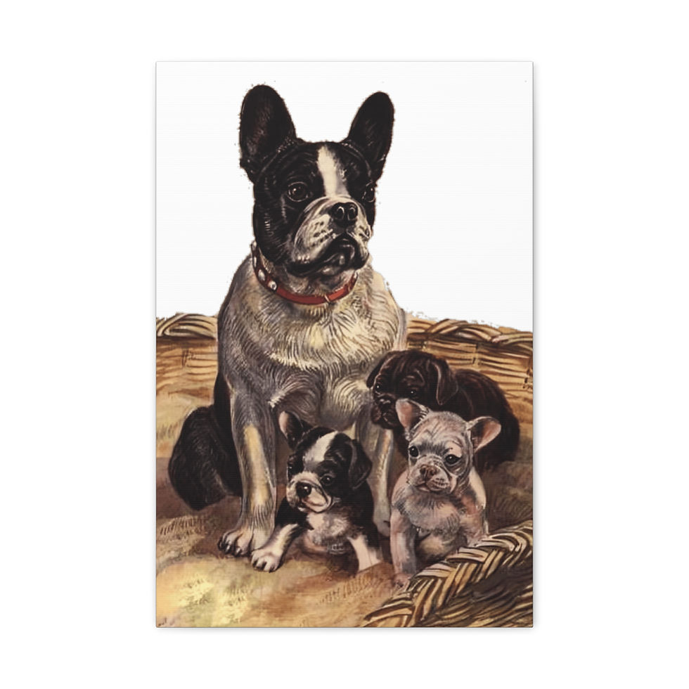 Thumbnail: Vintage French Bulldog Gallery Canvas Art Boston Terrier Puppies Dog Lover Gift