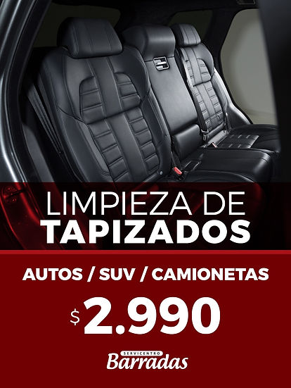 TAPIZADOS LANZAMIENTO.jpeg