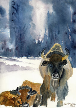 Keeping Watch