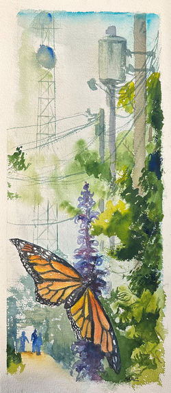 Butterfly in Sherman Hill Alley