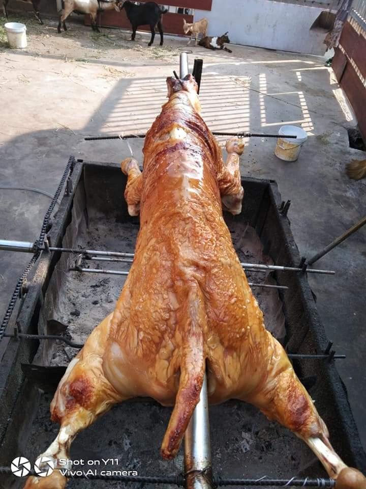 Thumbnail: VTE: ໝູ-ງົວ-ແບ້-ເປັດ-ໄກ່​ປິ່ນ ນາງ​ສົມ​ບູນ, ບ.ໜອງ​ບົວ​ທອງ