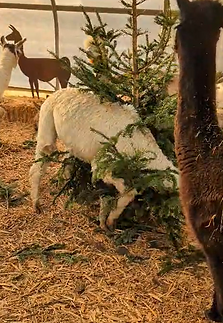 Screenshot 2025-11-04 124222.png