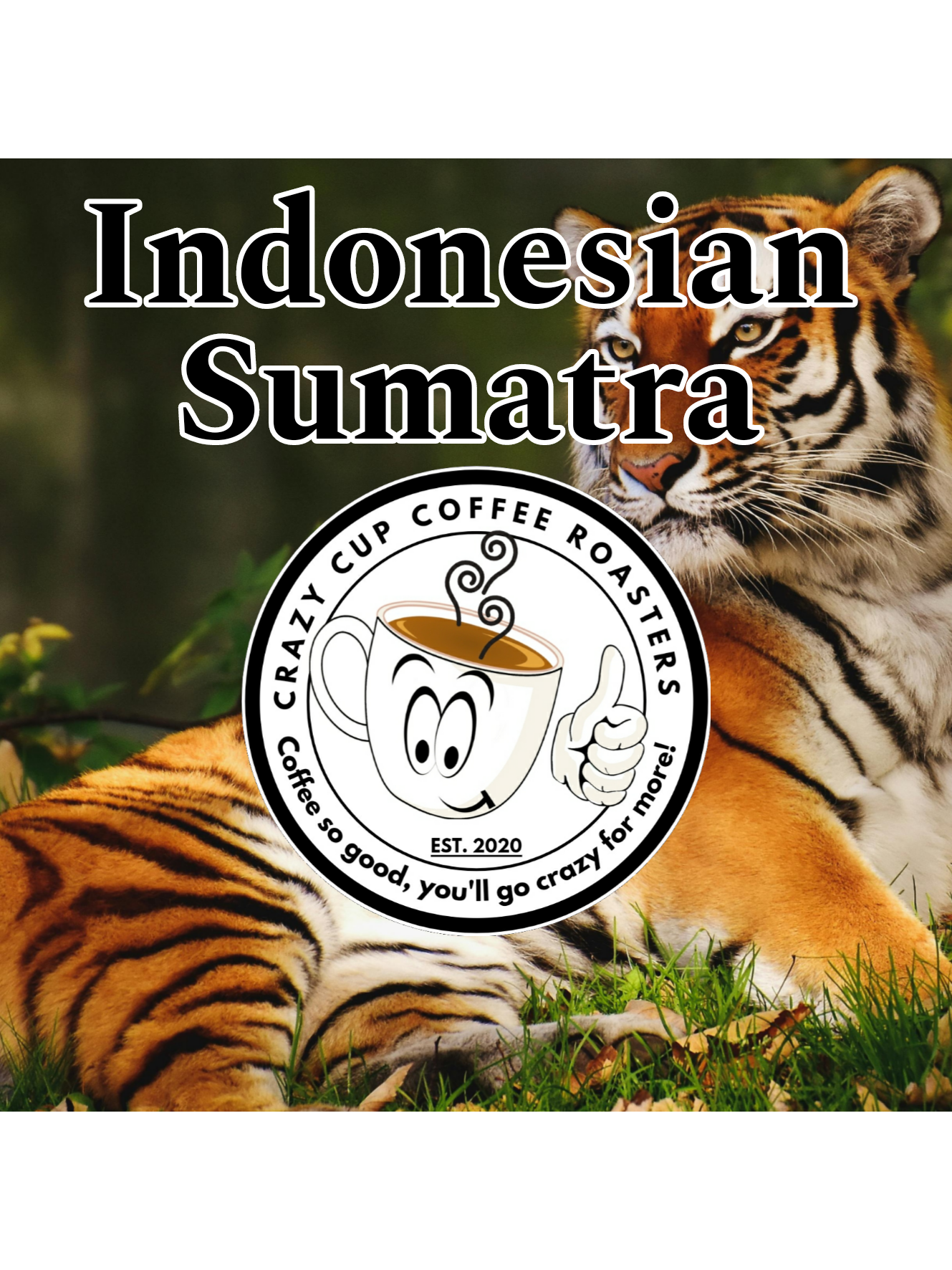 Indonesian Sumatra