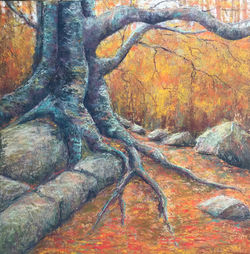 Old Dungarvin Oak