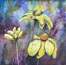 Yellow Echinacea