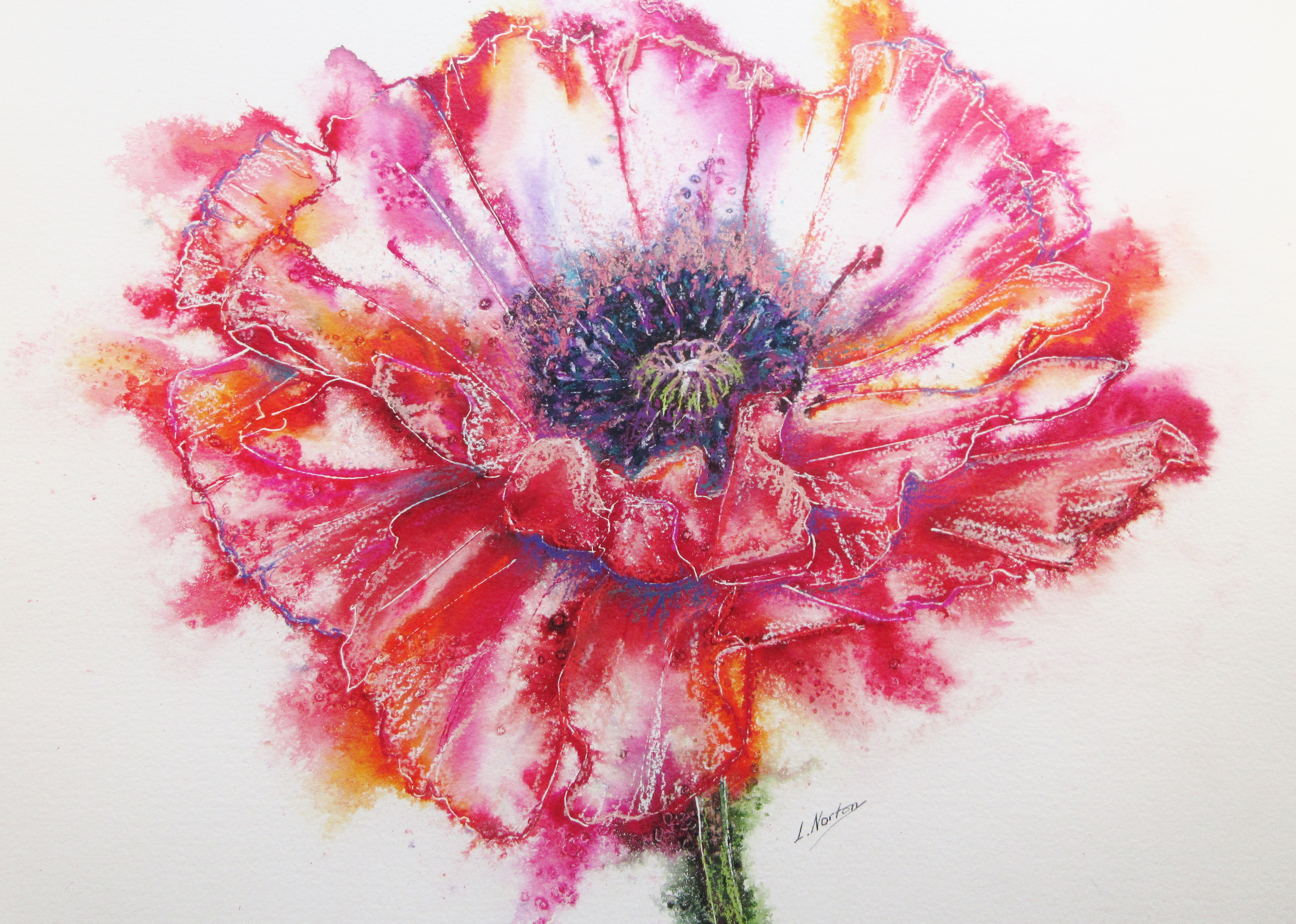 Poppy power