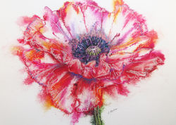 Poppy power