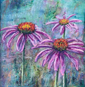 Purple Echinacea