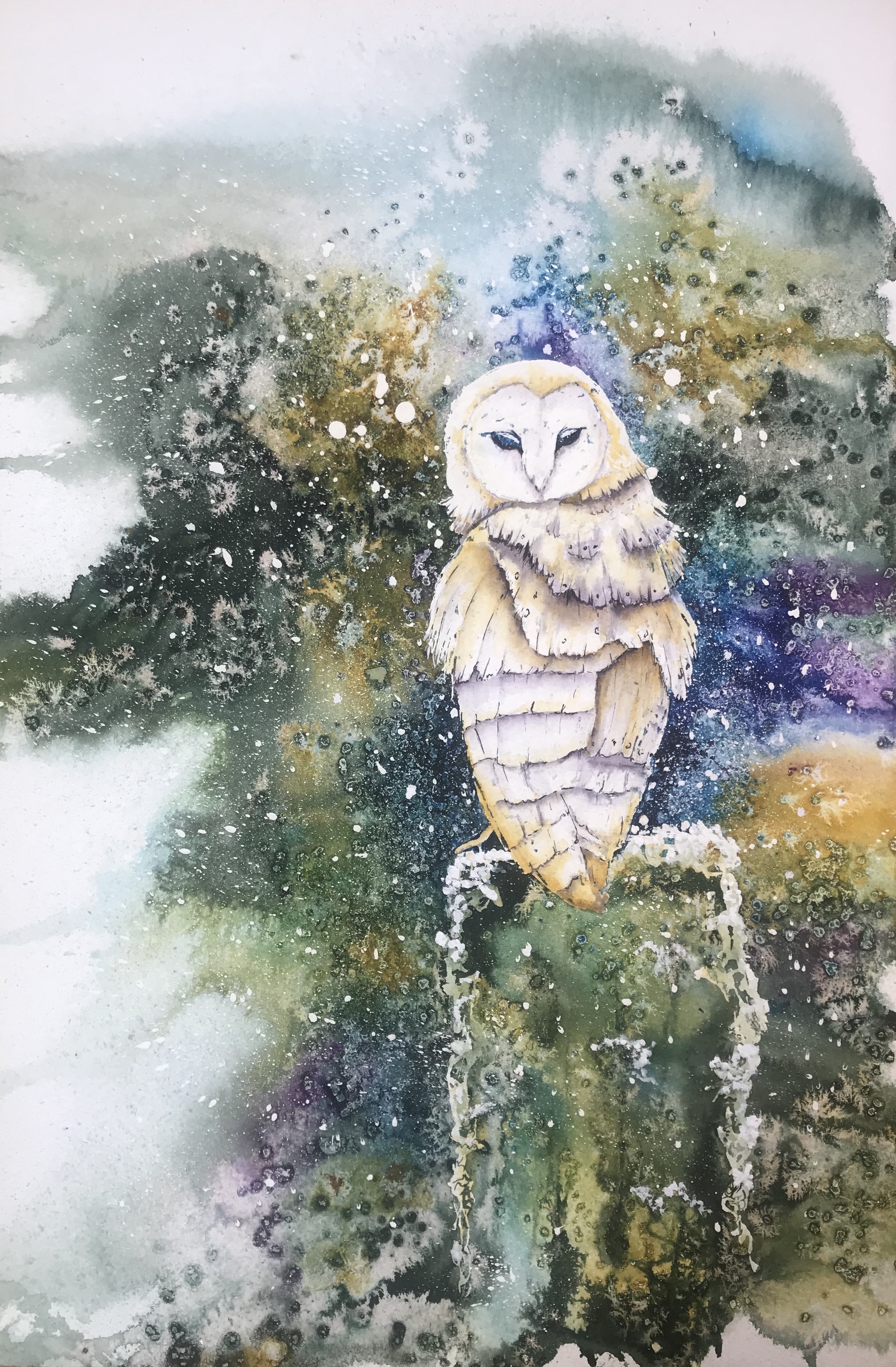 He looketh wondrous wise